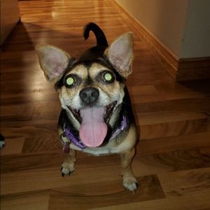 Meet your Posher, Isabelle